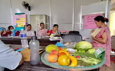 Lokale sundhedsambassadører deltager i ernæringskursus