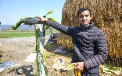 Kantipur kollektive landsbrugsprojekt kalder på rådgivning og faglig viden