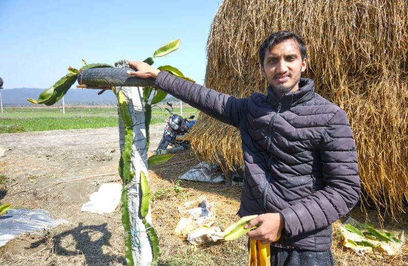Kantipur kollektive landsbrugsprojekt kalder på rådgivning og faglig viden